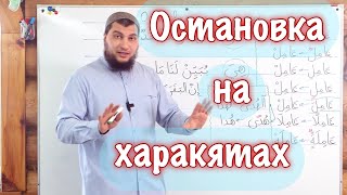 Урок № 36: Остановка на харакятах в необозначенных местах