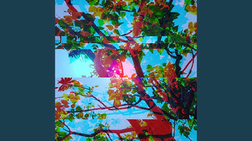 Background for Fresh Vibes