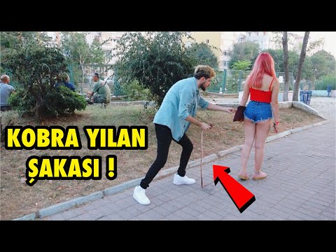 YILAN İLE KORKUTMA ŞAKASI YAPARAK İNSANLARI TROLLEDİM !