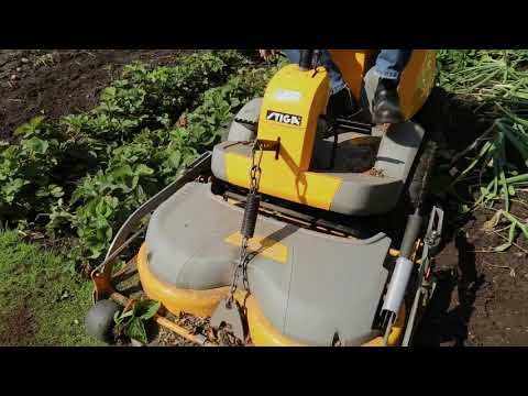 Video: Bare rod jordbærplanter - opbevaring og plantning af bare rod jordbær