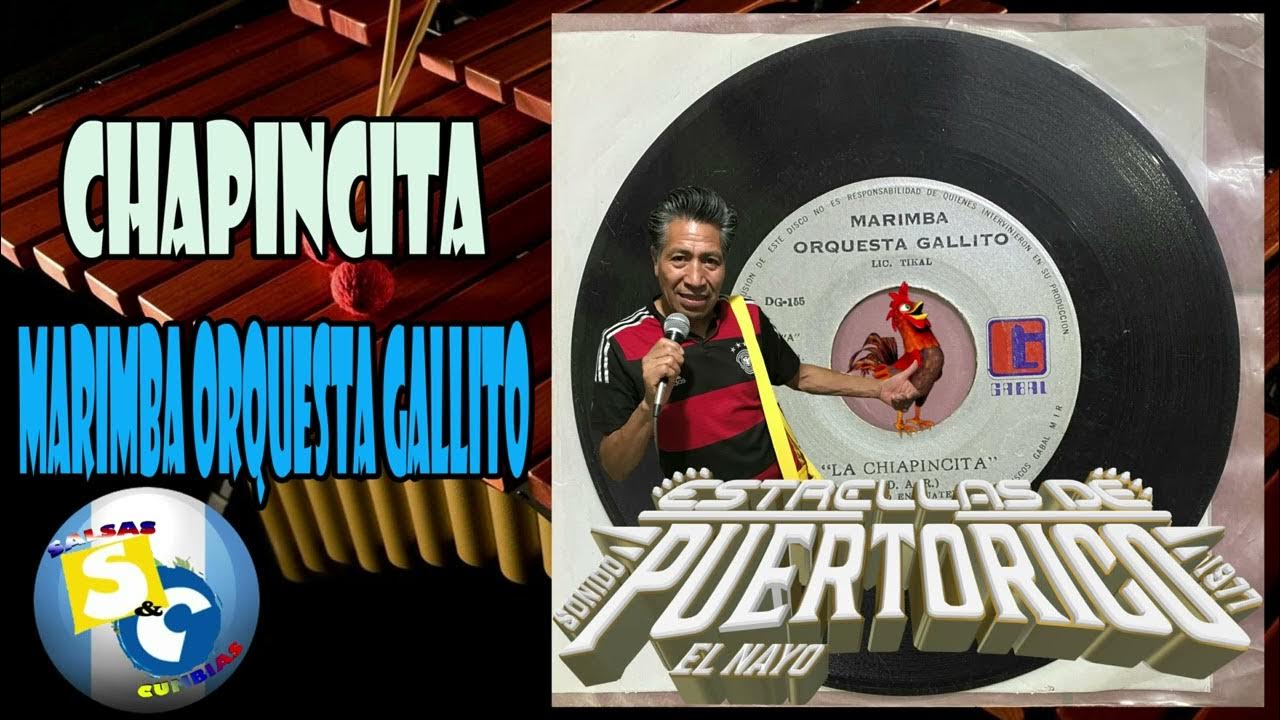 La Chapincita ♪ Marimba Orquesta Gallito YouTube