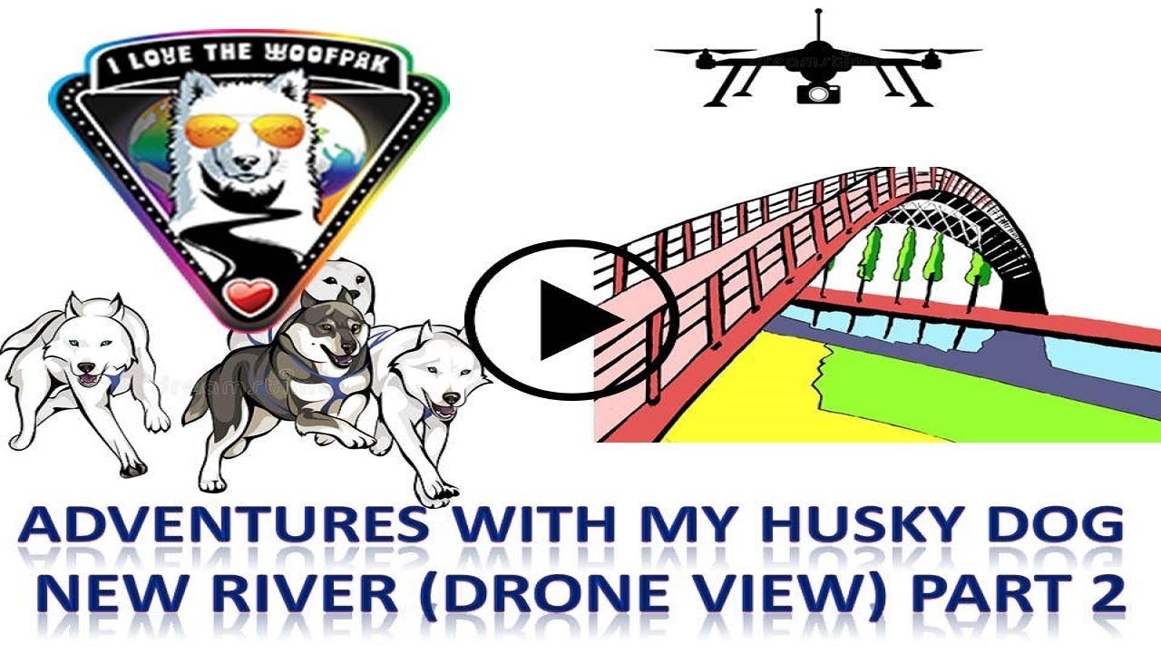Adventures with my husky dogs while trailing across the new river drone view Part 2 puppy paradise