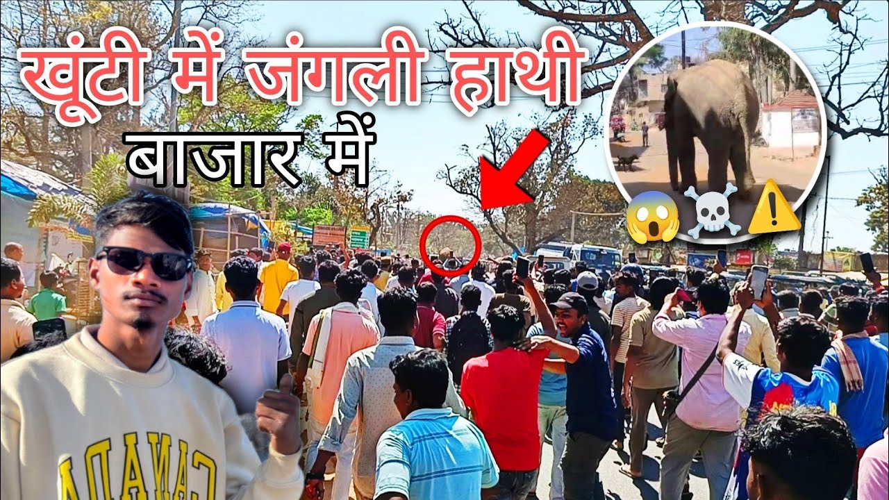 खूंटी में आया जंगली हाथी 🐘 मचा दिया तांडव | Khunti Jharkhand Breaking News | Live Video