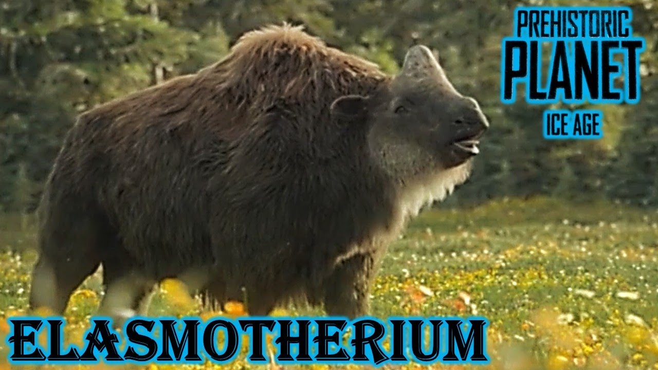 prehistoric Planet Ice age elasmotherium screen time - YouTube