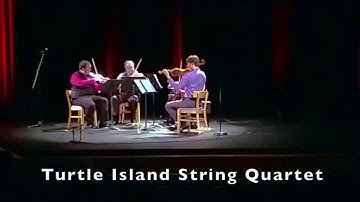 Turtle Island Quartet, "Night in Tunisia" (Gillespie, arr. Balakrishnan)