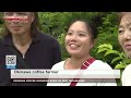 Okinawa coffee growers brew up new techniquesーNHK WORLD-JAPAN NEWS
