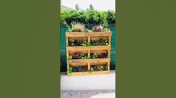 Ideas for garden. Wooden Pallets