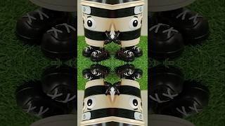 ITALIAN BRAINROT cappucino assasino sound Hammer Challenge