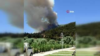 Çökertmede Orman Yangını