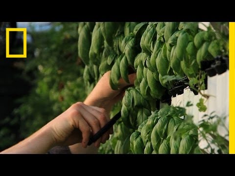 Market on the Farm Could Redefine the Grocery Trip | Short Film Showcase