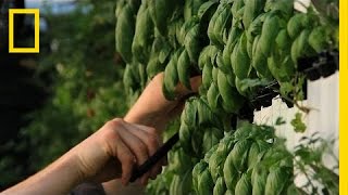 Market on the Farm Could Redefine the Grocery Trip | Short Film Showcase