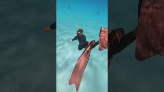 Sensational week on Lady Elliot Island for my latest Photography Workshop! #greatbarrierreef