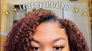 I DYED MY NATURAL HAIR Reddish/Brownish !!! 🍂🍁🍂| NO BLEACH | TazDoll TV