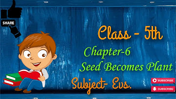 CLASS - 5th || CHAPTER-6 ||(SEED BECOMES PLANT)||SUBJECT- EVS.|| BY MANJU MAM|| SPPS STUDY POINT||