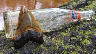 видео: ЛУЧШИЙ МЕГАЛОДОН, КОГДА-ЛИБО НАЙДЕННЫЙ (МНОЙ) - ПИС-РИВЕР картинка: ЛУЧШИЙ МЕГАЛОДОН, КОГДА-ЛИБО НАЙДЕННЫЙ (МНОЙ) - ПИС-РИВЕР