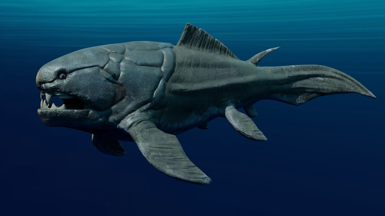 Dunkleosteus  3d model Animated