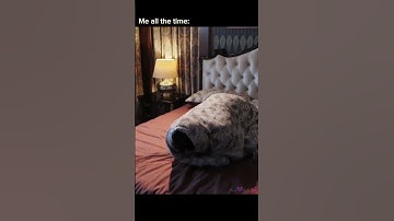 This is me everyday😹#ziyu #revengelove #funnyedit #fyp #shortsedit #cutebaby #tianxuning