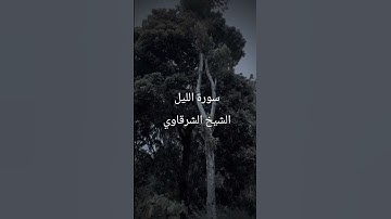 سورة الليل @الشيخ الشرقاوي