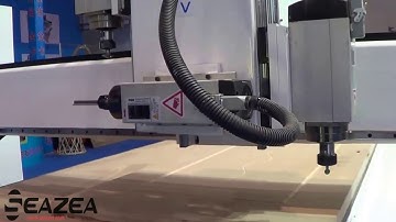 China CNC router working on wood door