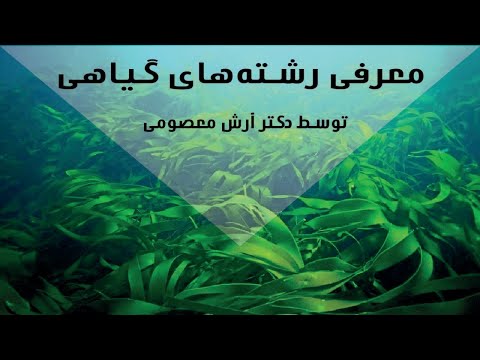 تصویری: کاشت در زیست شناسی چیست؟