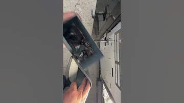 Massive collection for 1 week #shorts #money #vendingmachine