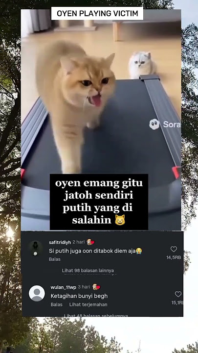 Wah parah nih oyen #fypシ゚viral #cat #imut #catshorts #kucinglucu #catlovers #fypシ #funny #hiburan