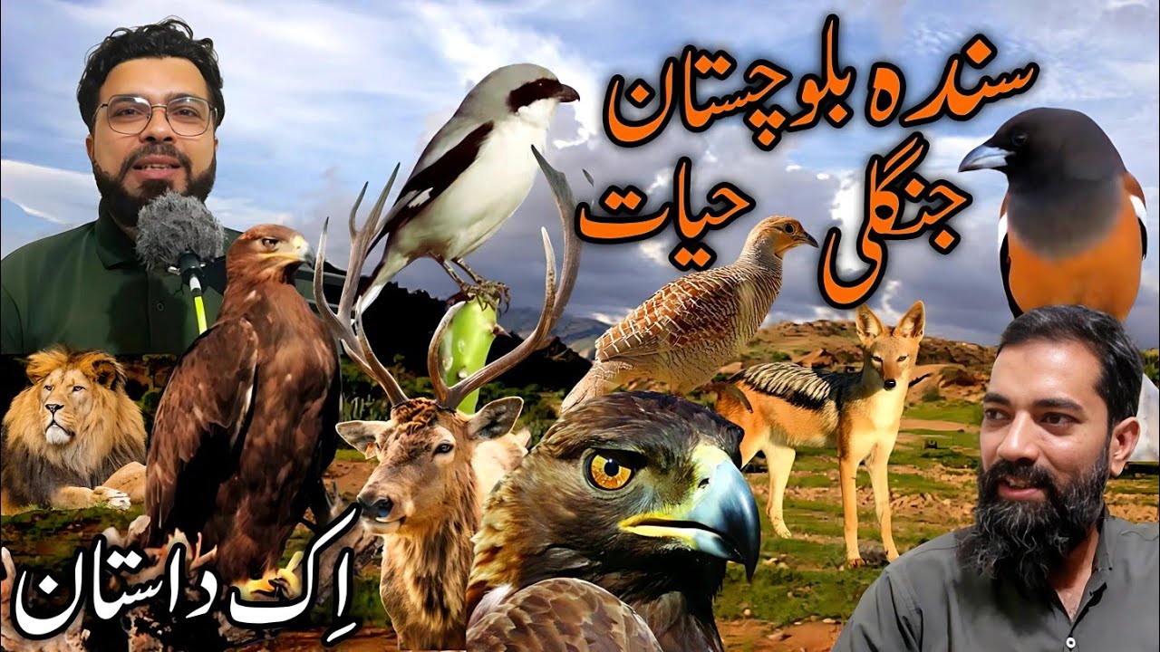 Sindh's Natural Heritage: Wildlife and Conservation