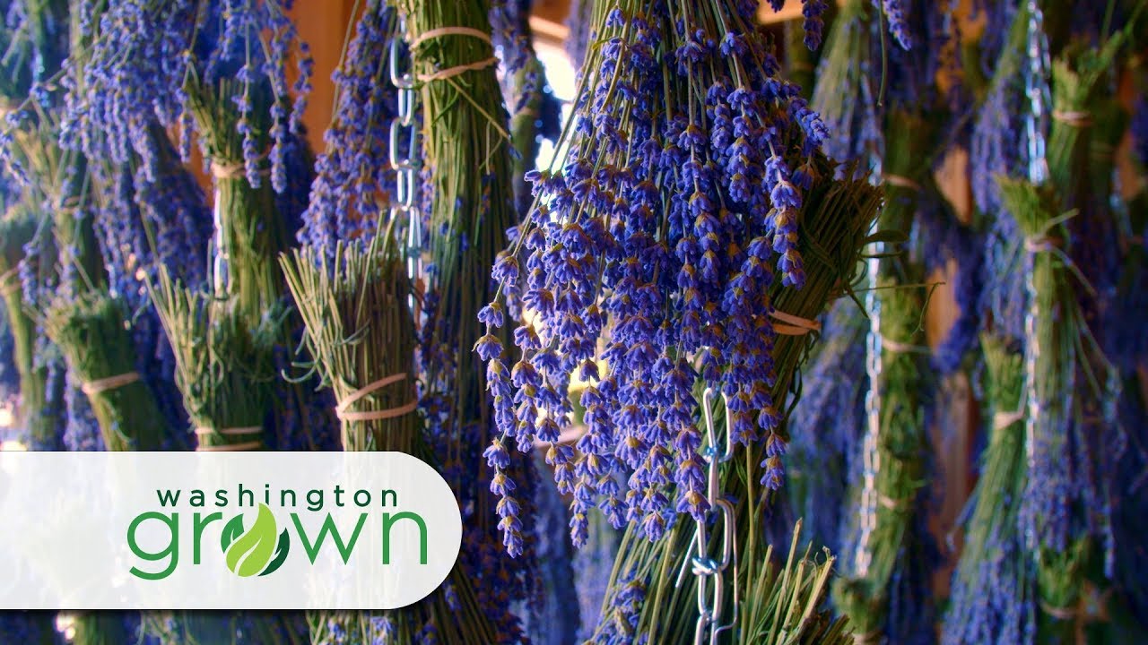 Flowers | Washington Grown | S6E5