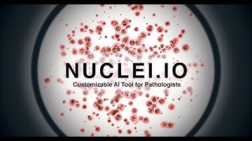 Customizable AI tool for pathologists | Innovating Health