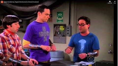 Unit 4: Operant Conditioning