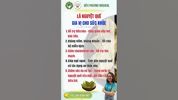 Lá Nguyệt Quế – Gia Vị Thơm Ngon Với Nhiều Công Dụng Cho Sức Khỏe | DINH DƯỠNG 24H