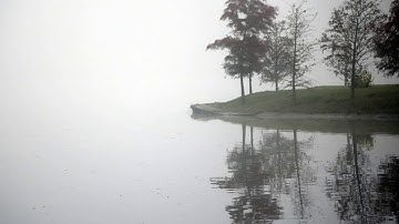 تلاوه خاشعه جدا للقارئ عبدالله العبداللطيف