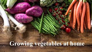 Ontario Growers Supply Info