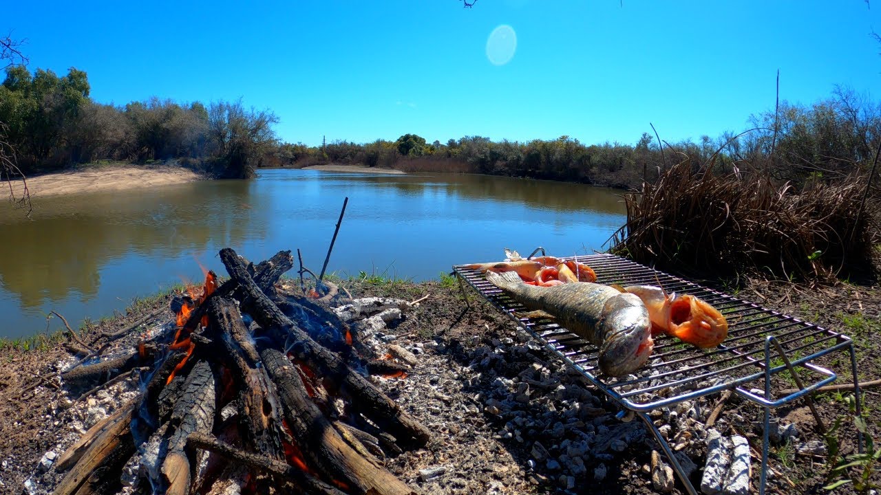 PESCA Y COCINA en ARROYO URQUIZA 🎣🌲🔥 aventura en la naturaleza y pescado asado, pesca de barrio
