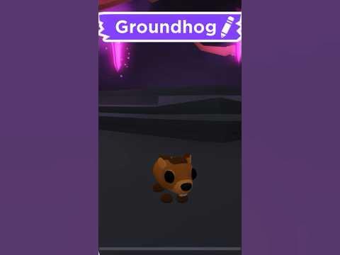 made a ride neon groundhog in adopt me! 🤍 #adoptmeneons #roblox #gaming