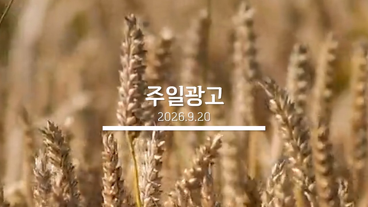 20260920 교회소식