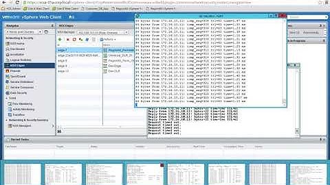 VMware NSX - Behavior when the Edge Firewall is enabled with ECMP