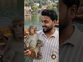 Came to Nainital for Peace... Met an Influencer Monkey Instead! 😂🐒#AIAvatar #Nainital #funnyreels