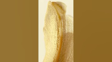 Thumbnail of L'Or de J'adore, the new perfume #diorbeauty #diorparfums #jadoredior #shorts