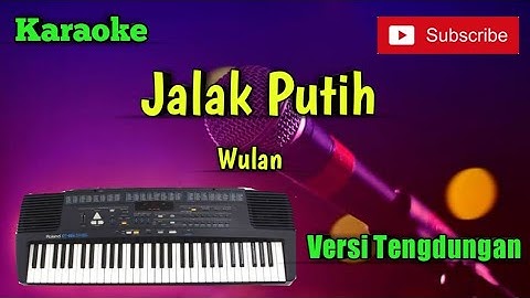 Jalak Putih ( Wulan ) Karaoke Versi Sandiwaraan - Tengdung Cover