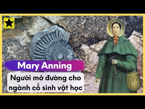 Video: Nhà sinh vật học William Harvey và đóng góp của ông cho y học