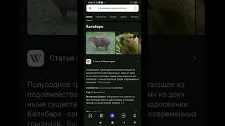 Стоит-Ли Нам Их Опасатся?