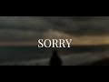 Nothing But Thieves - Sorry (English lyrics - Türkçe çeviri)