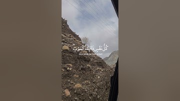 | سورة العنكبوت - القارئ عبدالرحمن مسعد