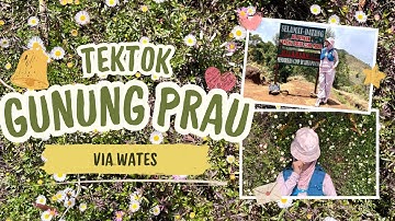 Pendakian TekTok Gunung PRAU via WATES - Cukup 6 Jam PP Ketinggian 2590 MDPL | #youtubeviral #fyp 