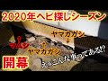 ヘビ探しシーズン開幕