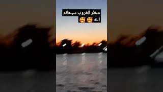 كلنا محتاجين البحردة في الحر  #shorts#shortsvideo #shortvideo