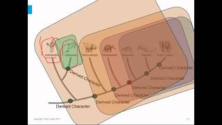 Biology Chapter 18