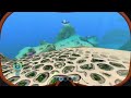 Subnautica начало (subnautica начало игры)