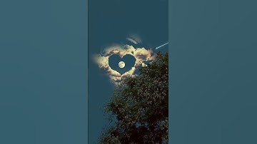 وأنا كفيناك المستهزئين🍃تلاوة خاشعة ثواني من وقتك أجر لك ولي🌺 🍃